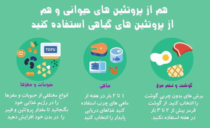 پروتئین های گیاهی و حیوانی