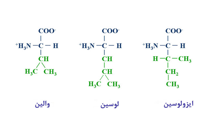 بی سی ای ای