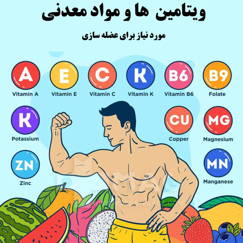 ویتامین ها و مواد معدنی مورد نیاز- اینفوگرافیک