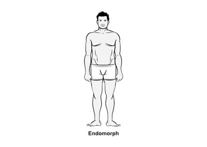 تیپ بدنی اندومورف