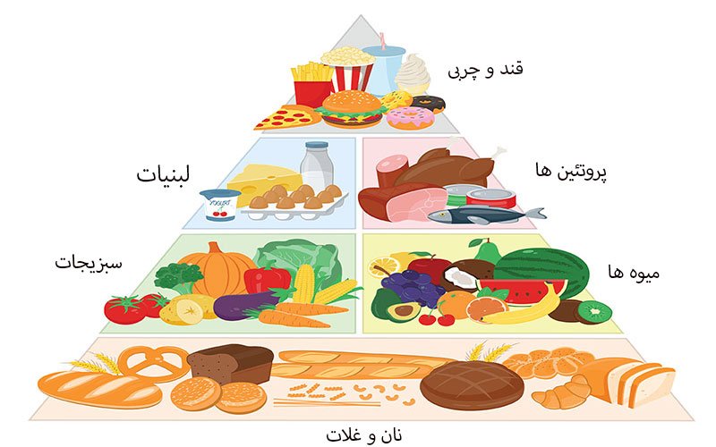 هرم غذایی