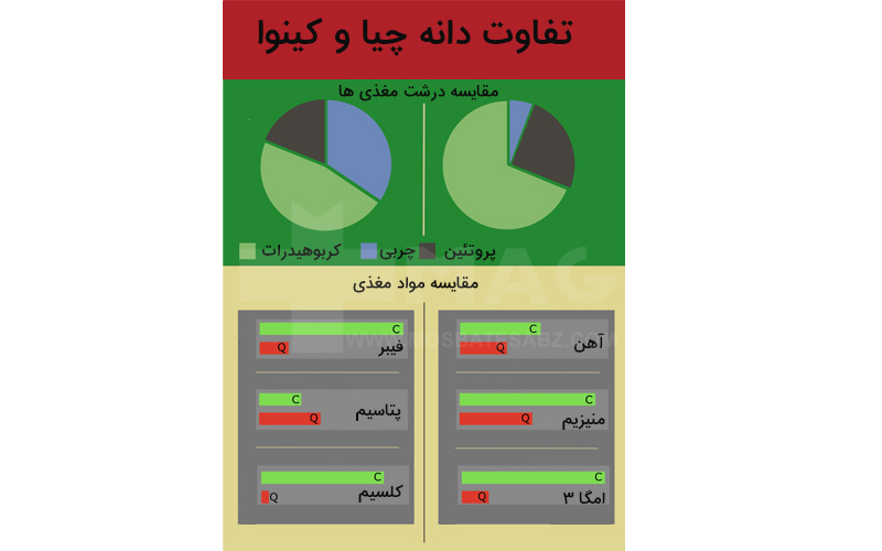 اینفوگرافیک فرق دانه چیا و کینوا