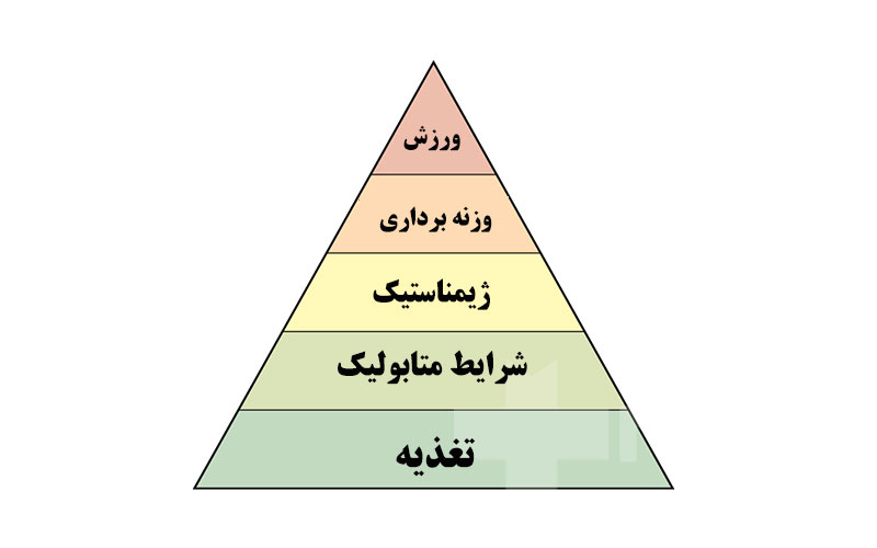 هرم پیشرفت ورزشی