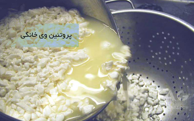 پروتئین وی خانگی