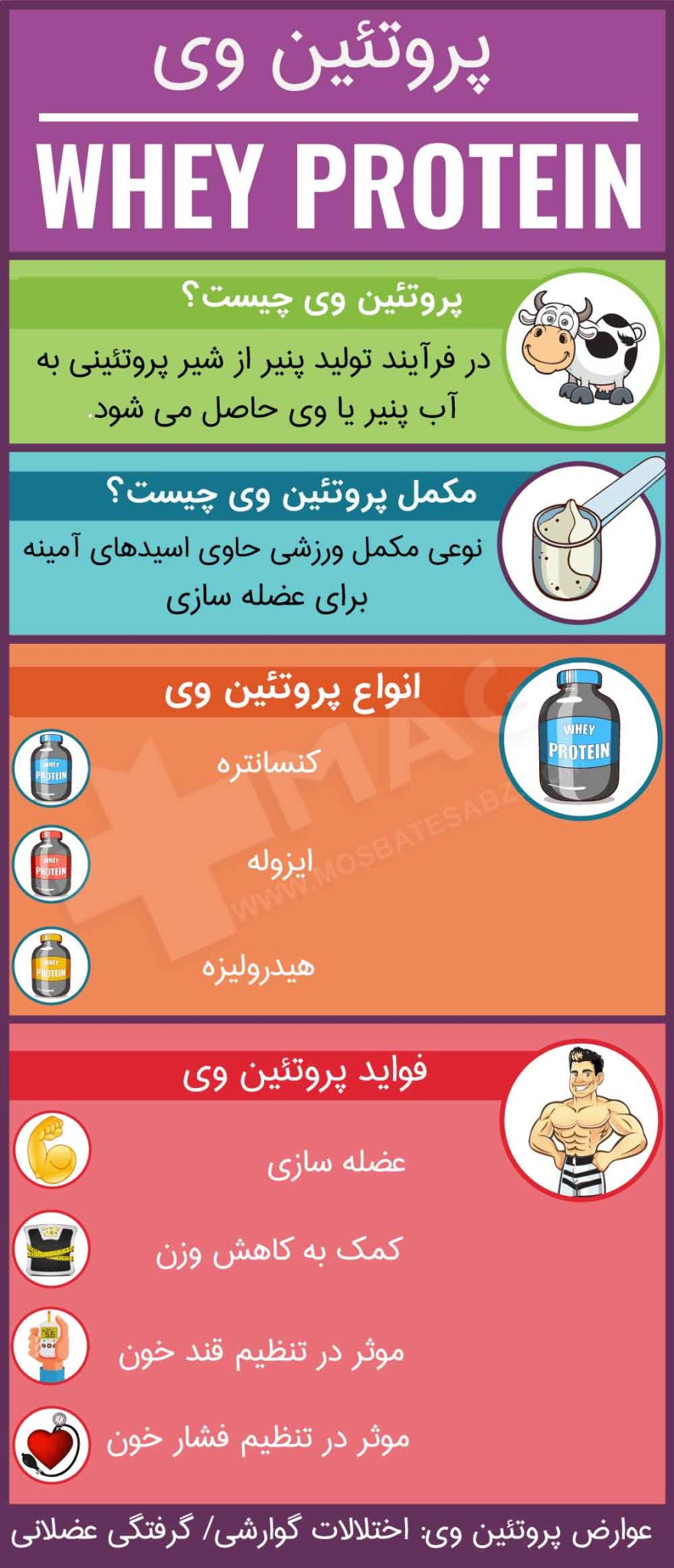 اینفوگرافیک مضرات پروتئین وی 