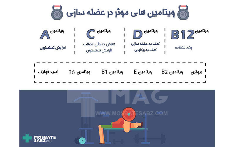 اینفوگرافیک ویتامین های عضله ساز