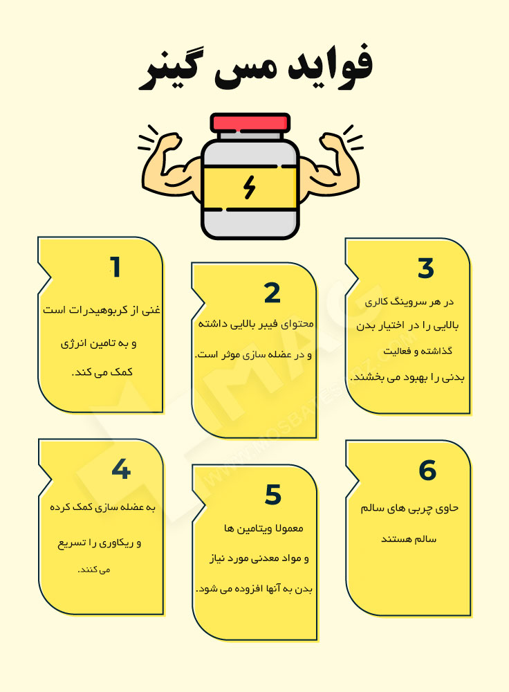 اینفوگرافیک فواید مس گینر - مکمل گینر چیست ؟